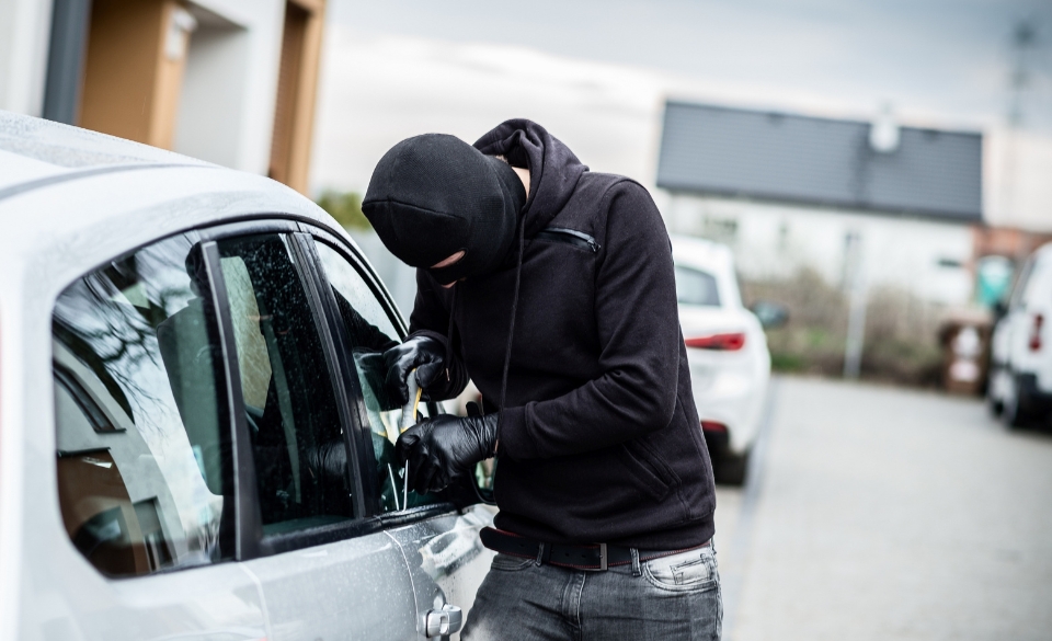 car theft 